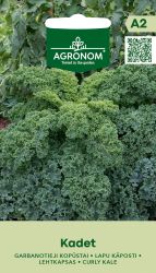 Kale Curly Kadet Seeds
